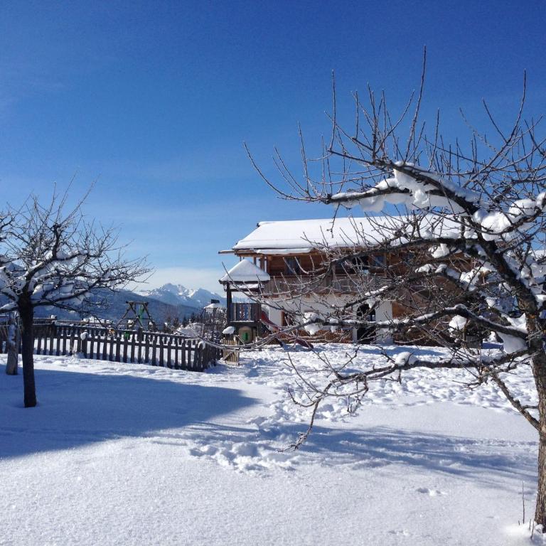 Chalet Winterbauer - Chalet - 53