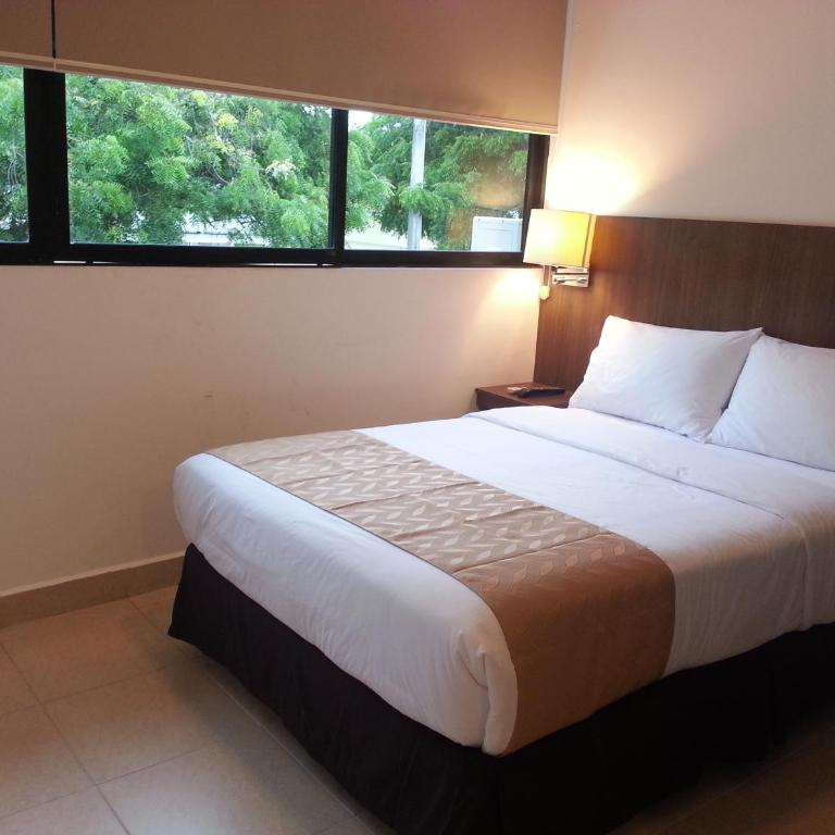 Buenavista Place Hotel - Standard Queen Room - 3