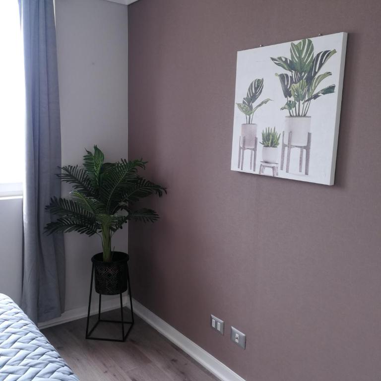 DEPARTAMENTO NUEVO A PASOS DEL TERMINAL de BUSES - One-Bedroom Apartment - 3