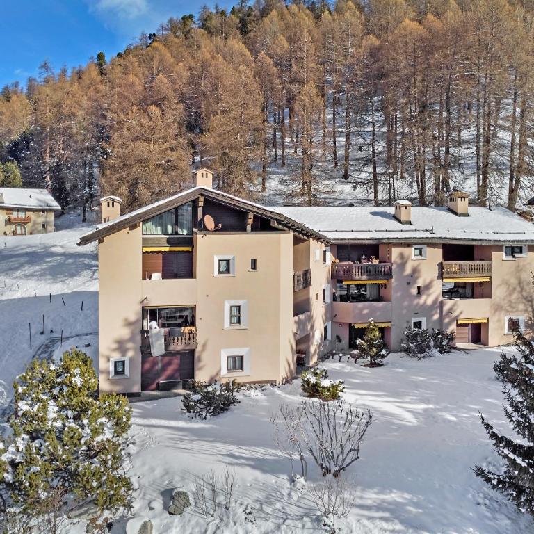 Abitaziun Gianda Verda D8 - Apartment mit Blick auf die Berge - 32