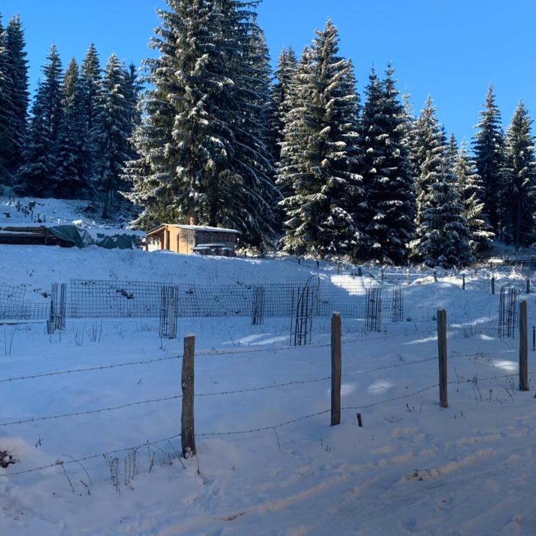 Studio apartman Winter Place - One-Bedroom Apartment - 24