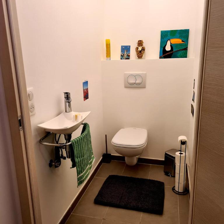 Aux Premières Loges - Vue Lac - Appartement - Vue sur Lac - 13