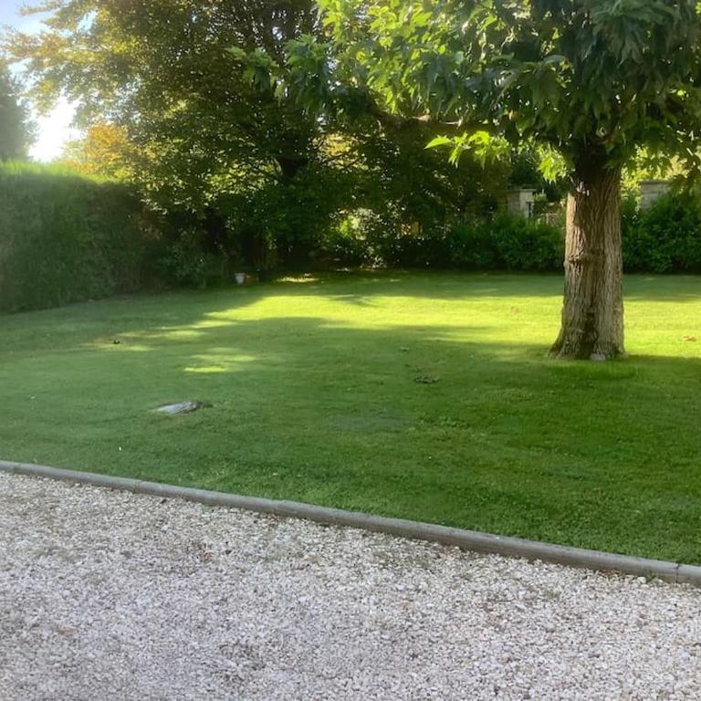 Le chant de la sorgue - Apartment mit 2 Schlafzimmern - 13