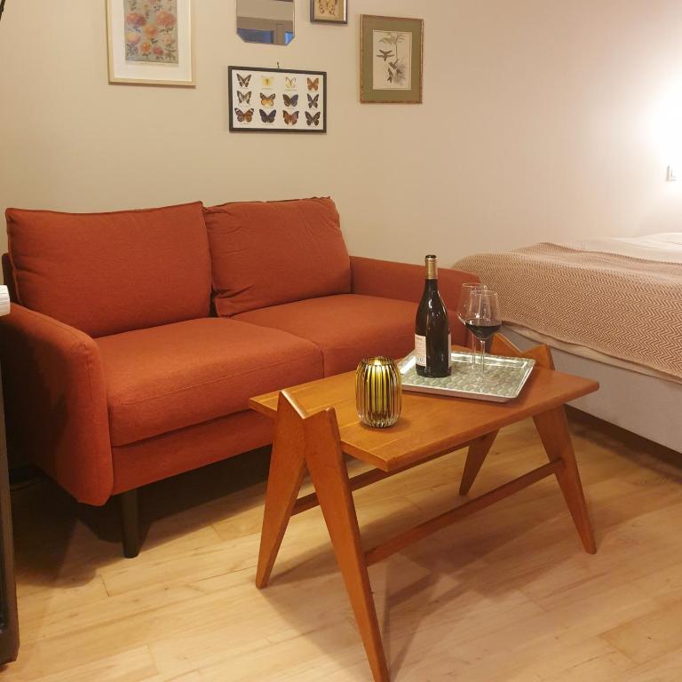 Maisonnette cosy cœur centre avec accueil vélo - Maison 1 Chambre - 3