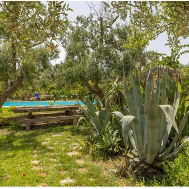 Pietre Bianche - Appartamento con 2 Camere da Letto e Vista Piscina - 14