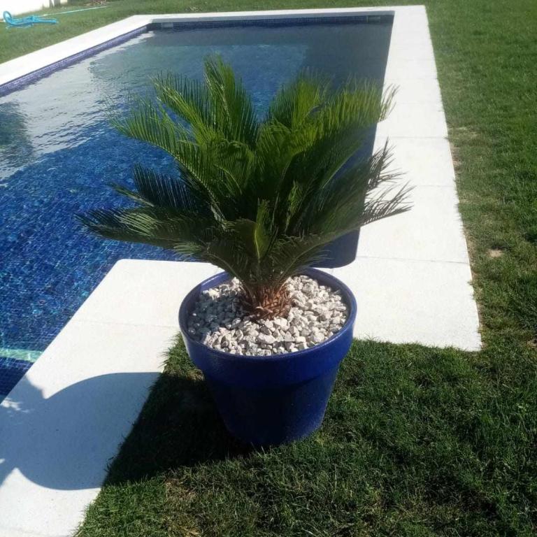 Las Casitas de la Barrosa con jardín y piscina - Casa - 39