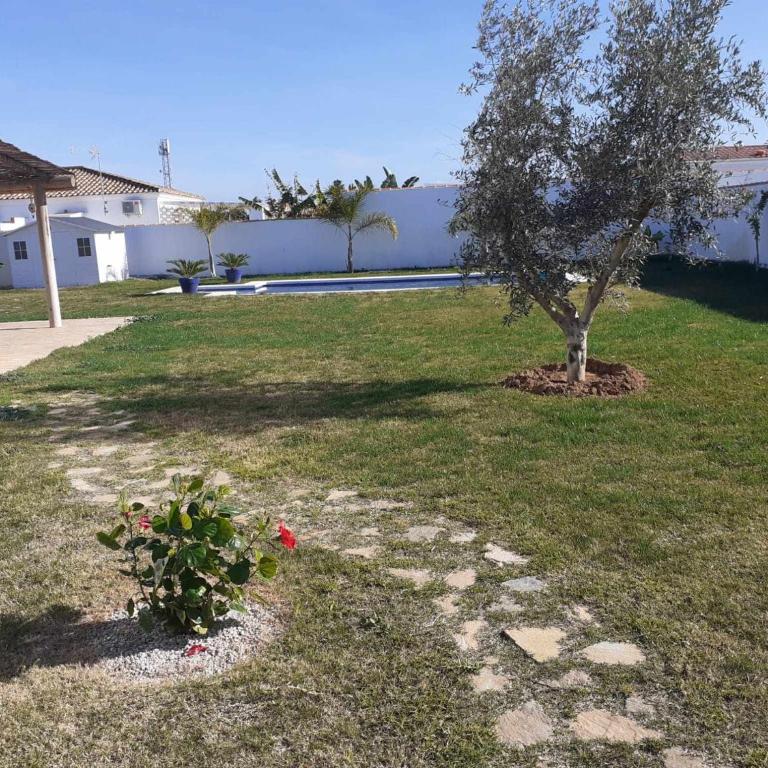 Las Casitas de la Barrosa con jardín y piscina - Casa - 20