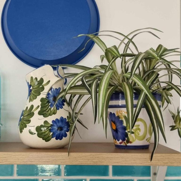 Las Casitas de la Barrosa con jardín y piscina - Casa - 22
