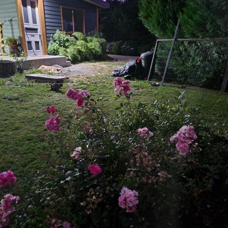 Casa verano piscina Villarrica - Vacation Home - 22