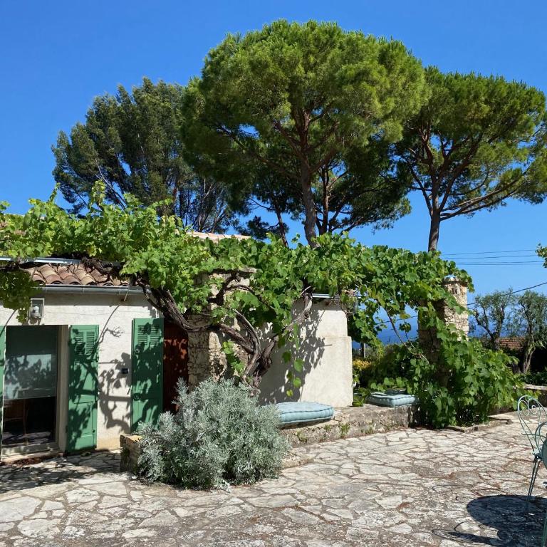 Domaine des Encourdoules villa luxueuse et raffinée sur un hectare face à la mer - Villa - 56