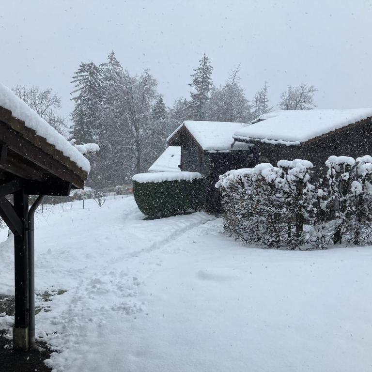 Chalet Le Paddock - Chalet 4 Chambres - 47