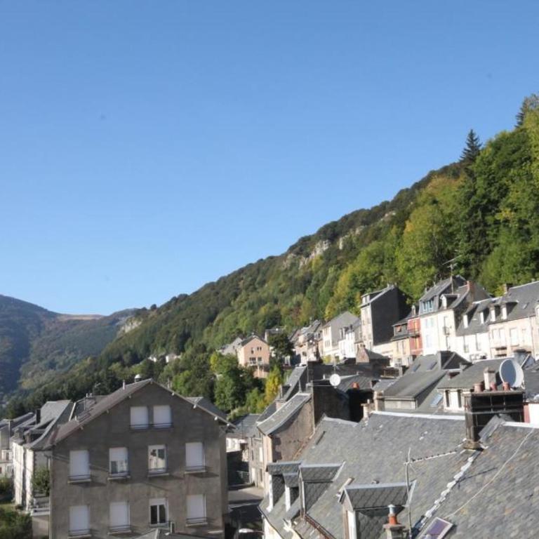 LE MONT DORE - T3 proche centre, 5 pers - FR-1-608-180 - Appartamento (5 Adulti) - 9