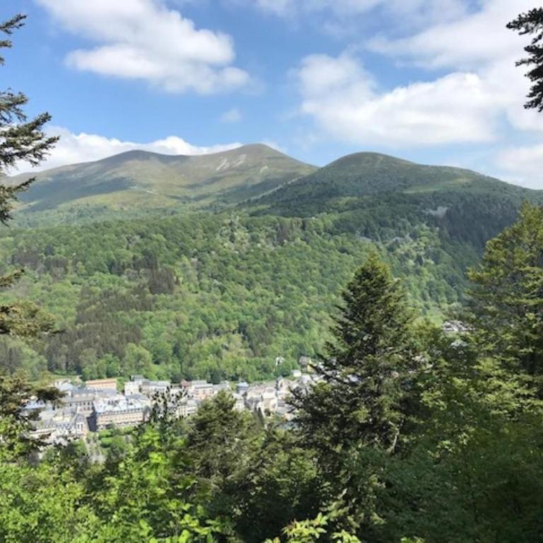 Appartement 3 pièces avec WIFI à 300 m des Thermes - FR-1-608-204 - Appartement (4 Adultes) - 13