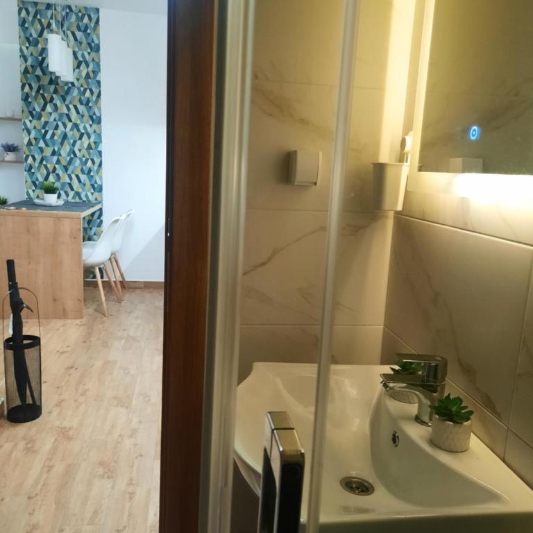 Bankovic Apartman - One-Bedroom Apartment - 12