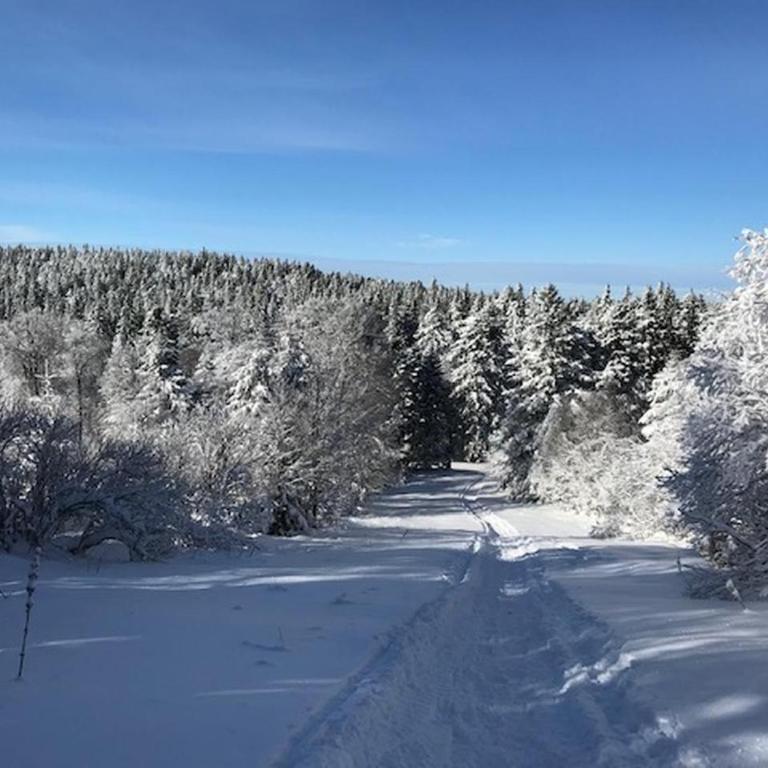 T2 agréable au Mont-Dore avec terrasse pour 4 personnes - FR-1-608-146 - Appartement (4 Adultes) - 11