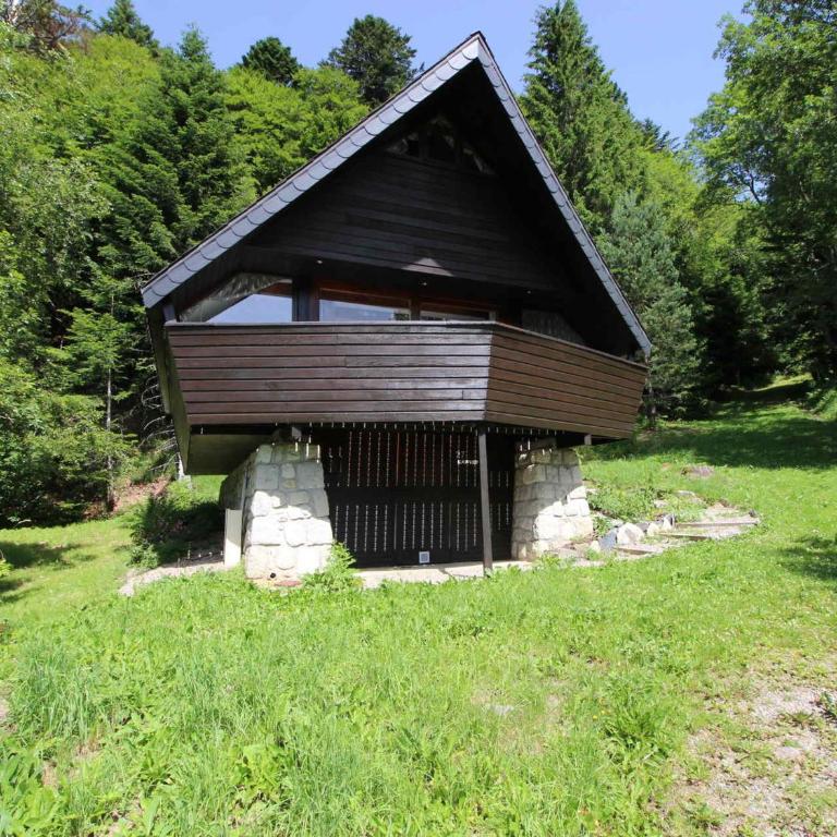 Chalet Mont-Dore 9 pers, cheminée, terrasse, WiFi - FR-1-608-88 - Chalet (9 Adults) - 1