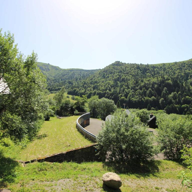 Chalet Mont-Dore 9 pers, cheminée, terrasse, WiFi - FR-1-608-88 - Chalet (9 Adults) - 9