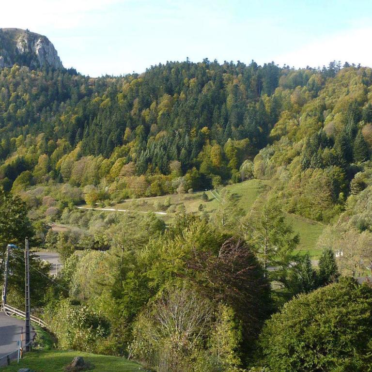 Mont-Dore - Studio avec balcon, parking, wifi inclus - FR-1-608-93 - Studio - 6