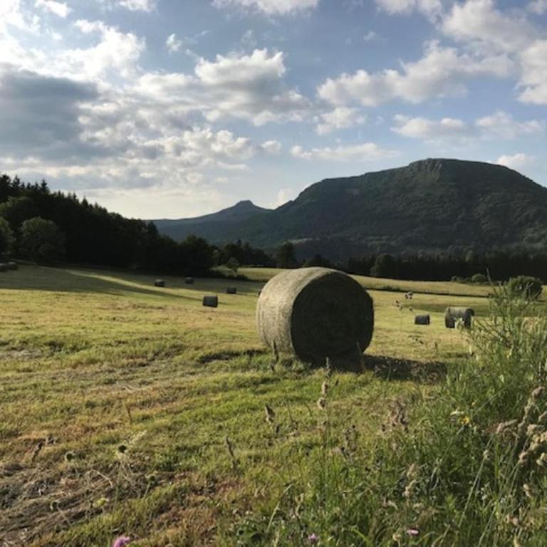 Agréable T2 bis au Mont-Dore, accepte animaux, vue superbe, hyper-centre - FR-1-608-89 - Appartement (4 Adultes) - 14