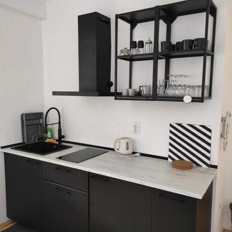 Bellevue Apartman na jezeru u samom centru Zlatibora ,terasa sa pogledom - Two-Bedroom Apartment - 5
