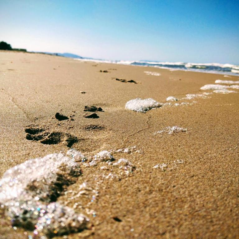 Hello Oliva Beach BB - Apartamento - 33