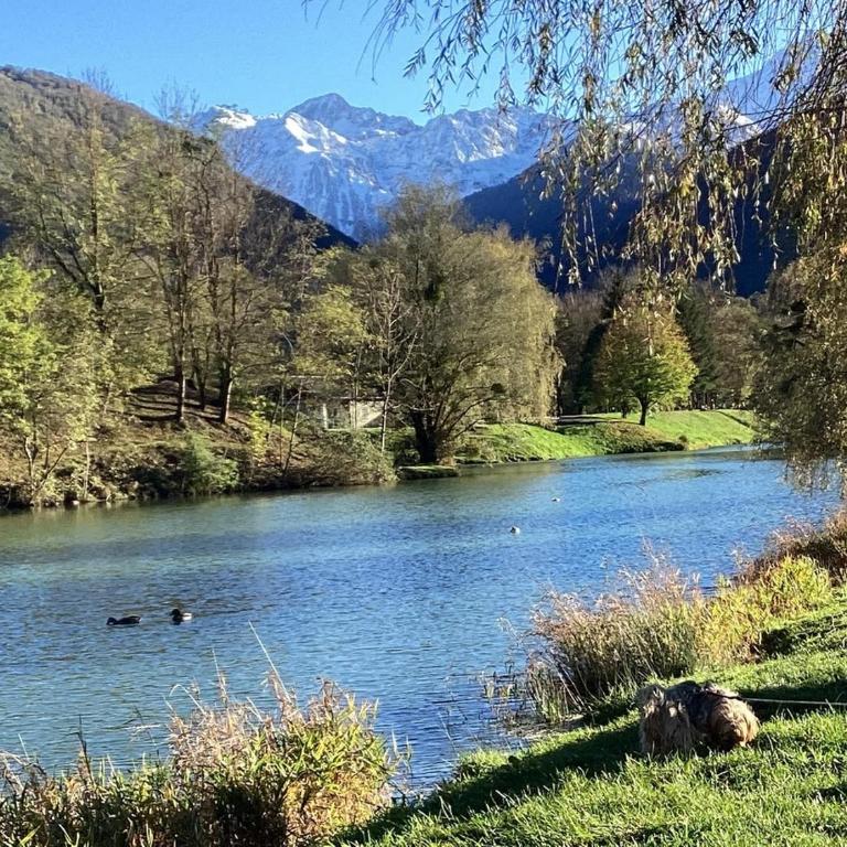 Appartement très agréable dans belle résidence, classé 3 étoiles par le comité départemental du tourisme en Haute Garonne - Apartment mit 2 Schlafzimmern - 23