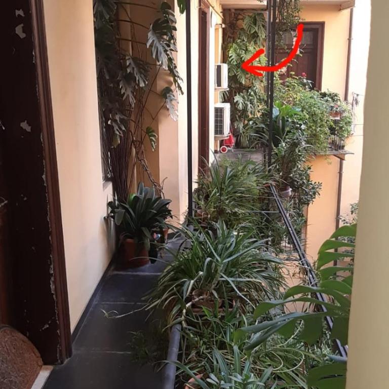 Charme de Rome Vatican Apartment - Appartamento - 17