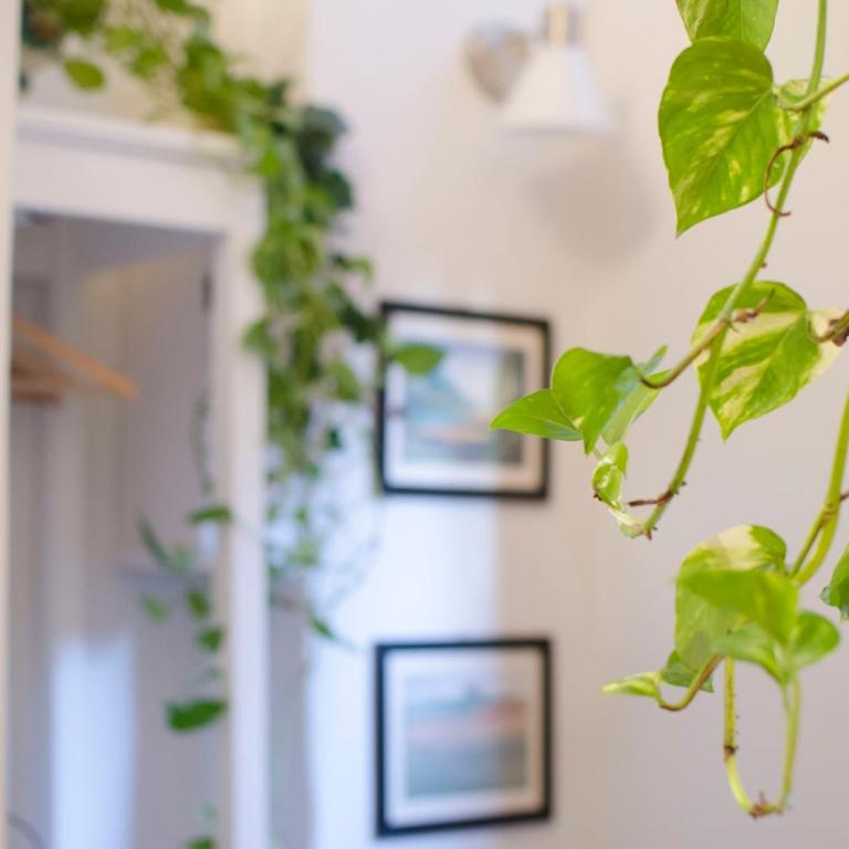 La Casetta - Two-Bedroom House - 24