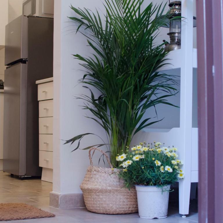 La Casetta - Two-Bedroom House - 1