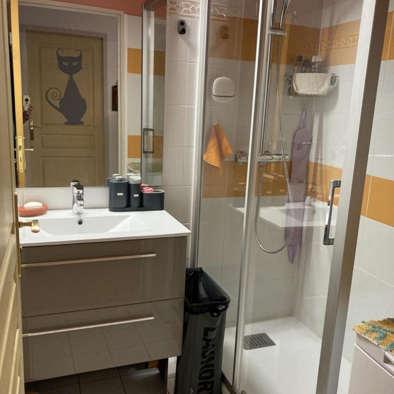 Appartement très agréable dans belle résidence, classé 3 étoiles par le comité départemental du tourisme en Haute Garonne - Apartment mit 2 Schlafzimmern - 14