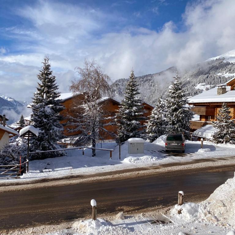 Ski in/out 150 m, 2 chambres , 6 personnes. - Appartement 2 Chambres - 9