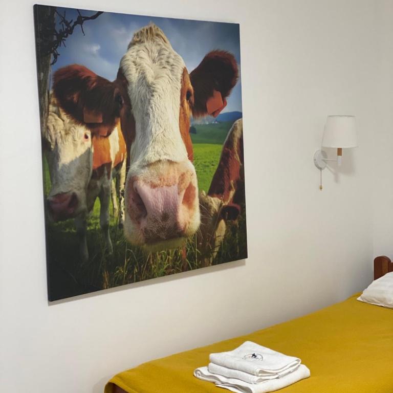 Apartment miTski Kop - Apartman sa 1 Spavaćom Sobom - 27