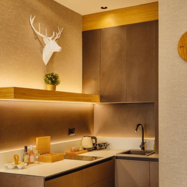 WILD BEAUTY Apartment-Modern mountain 2 - Apartman sa 1 Spavaćom Sobom - 11