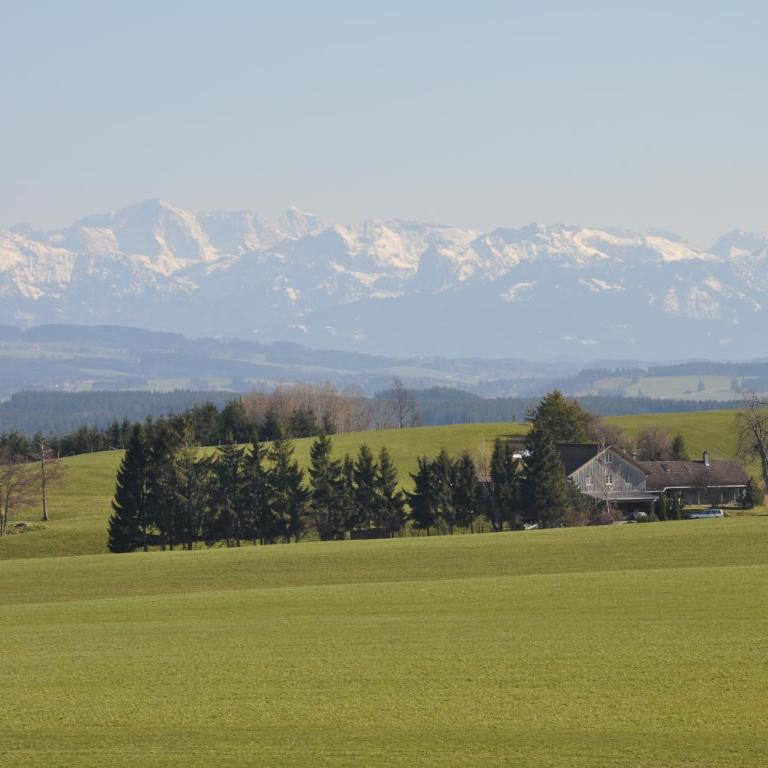 Kemnater Alm - Apartment mit Terrasse - 13