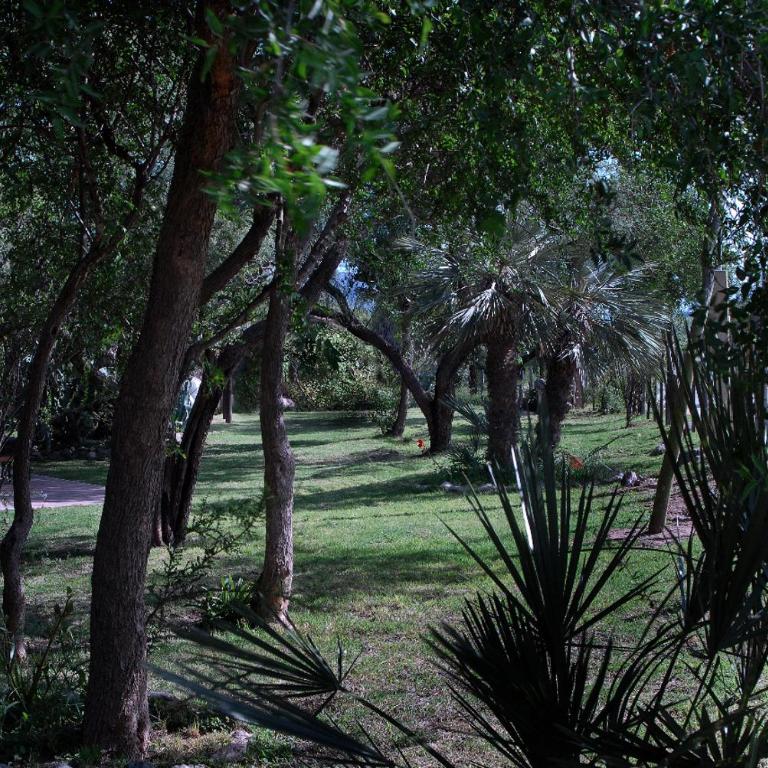 Cabanas en el Jardin Nativo - Casa de 2 dormitorios - 23