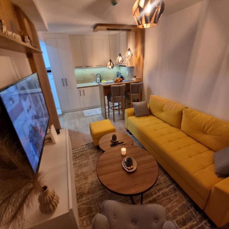 Vila Jahor - Apartmani Trifković - One-Bedroom Apartment - 1