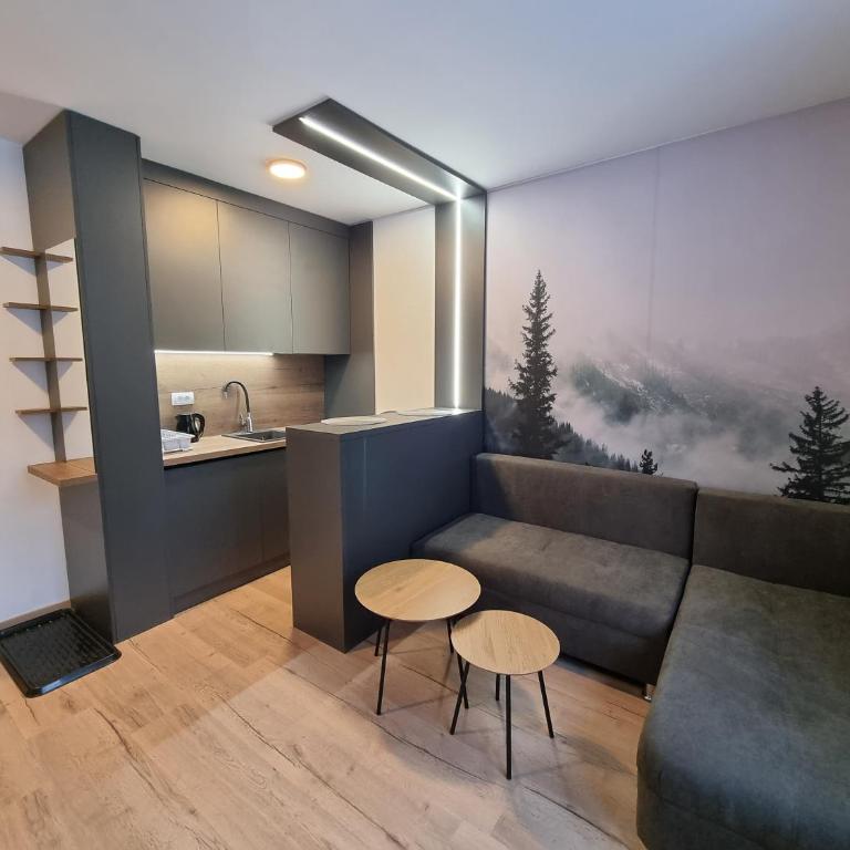 Apartmani Aspen - Apartman sa 1 Spavaćom Sobom - 2