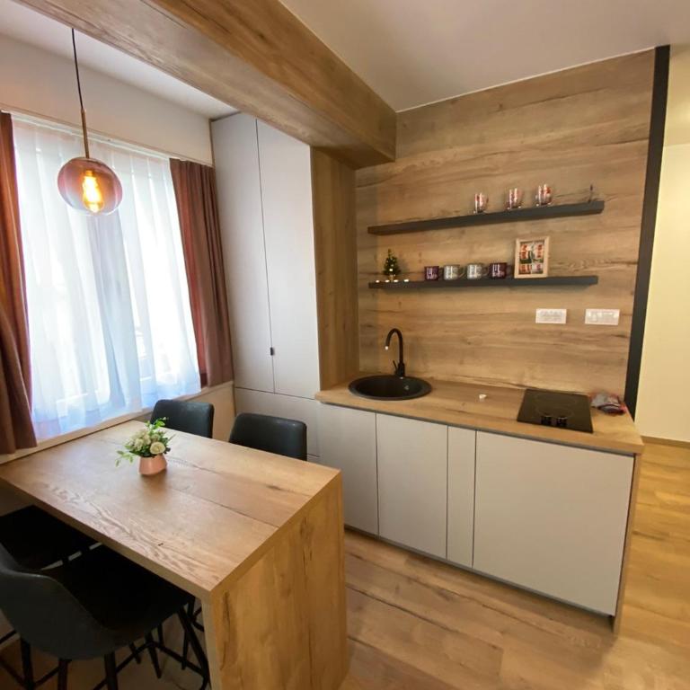 Apartmani Aspen - Apartman sa 1 Spavaćom Sobom - 7