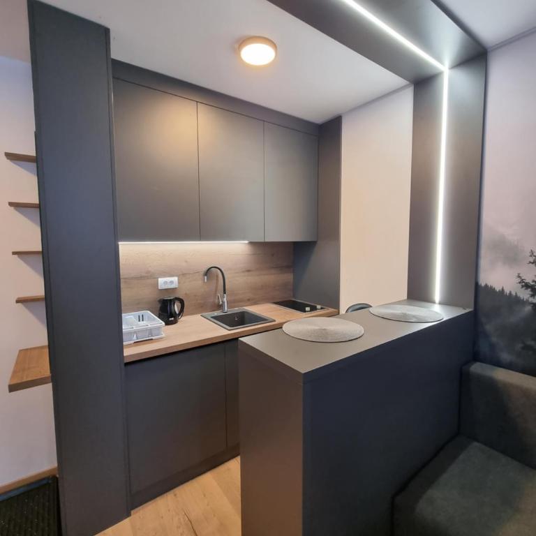 Apartmani Aspen - Apartman sa 1 Spavaćom Sobom - 8