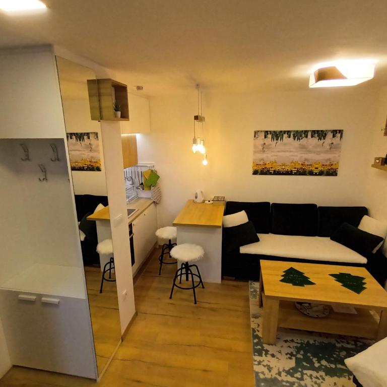 Acero Verde Jahorina - Studio - 25