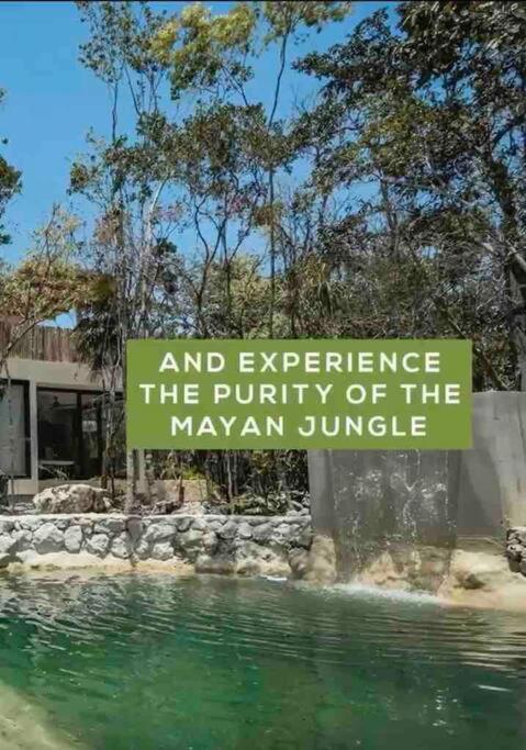 Villa Xuncari in the heart of the jungle Tulum - Villa de 3 dormitorios - 48
