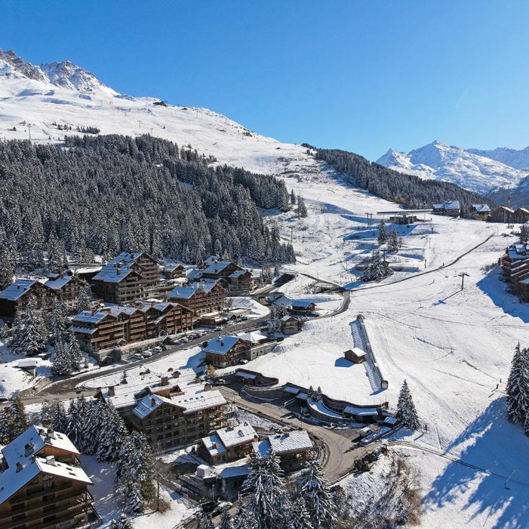 Appartement lumineux avec balcon à 2 chambres doubles et services inclus, skis aux pieds - FR-1-613-65 - Apartment - 3