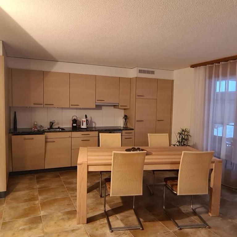 Komfortabel, Perfekte Lage, neue Wohnung, gratis P - Apartment mit 1 Schlafzimmer - 4