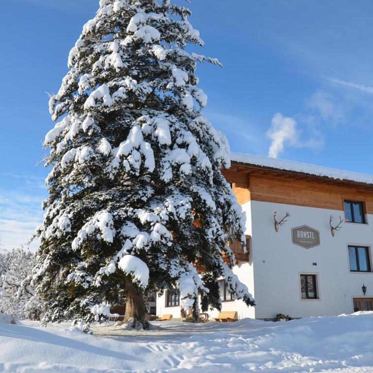 Ranstl Ferienwohnungen - Appartement - 7