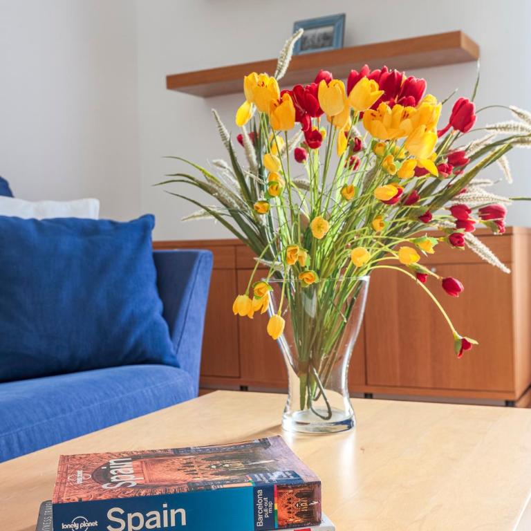 Alejo Fernandez Dreams de Santa Cruz Oasis Sevilla - Apartamento - 18
