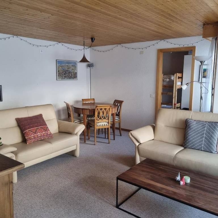 Charming and cosy apartment (sleeps 4-6 people) in a beautiful mountain village - Apartment mit 3 Schlafzimmern - 5