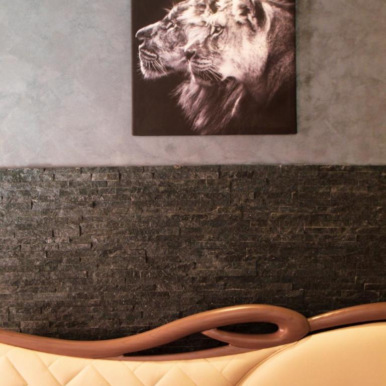 Lion Luxury rooms - Camera King con Vasca Idromassaggio - 6