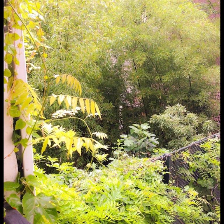 High Standing 2-Room Apartment in Latin Quarter Paris - Appartement 1 Chambre - 67