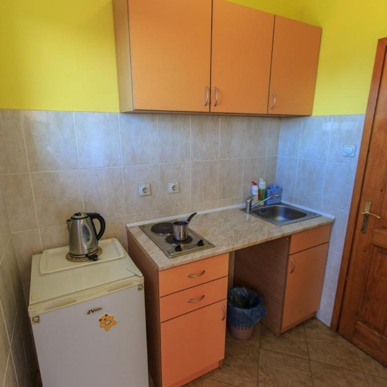 Apartments Vitic - Apartman sa Pogledom na More - 7