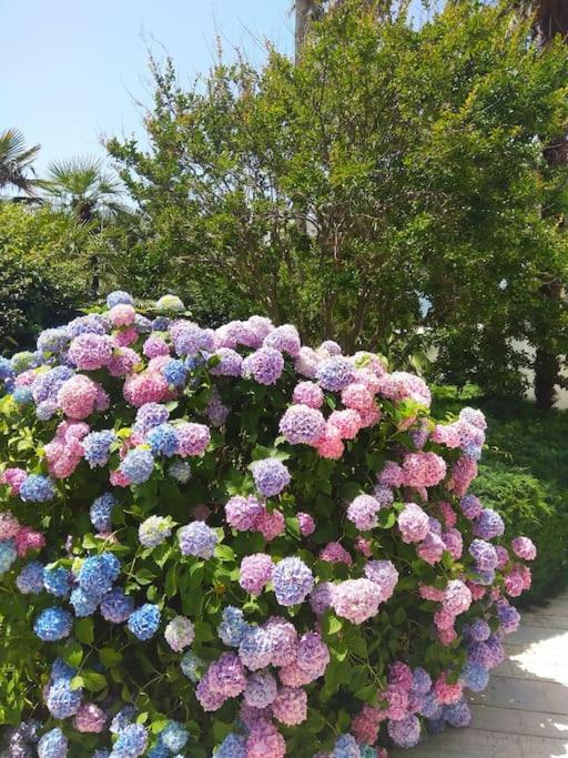 Apartments LUX Milano, Savina,Herceg-Novi - One-Bedroom Apartment - 38